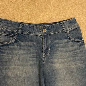 Lane Bryant size 14